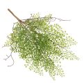 Branche artificielle de ruscus