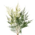 Floristik24 Branche de fougère artificielle 56 cm décorative verte en plastique