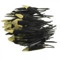 Floristik24 Plumes décoratives noires, vraies plumes dorées pour travaux manuels 12-14 cm 72 pièces