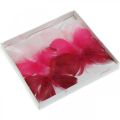 Floristik24 Plumes de papillons rose / rose / rouge, papillons décoratifs sur fil 6pcs