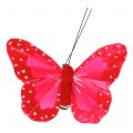 Floristik24 Papillons en plumes sur clip multicolore 7cm 12pcs