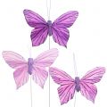 Floristik24 Plumes papillons violet 8.5cm 12pcs