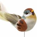 Oiseau sur fil 5.5cm coloré 9pcs