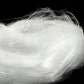 Floristik24 Cheveux de fée cheveux d&#39;ange blanc brillant 50g