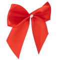 Lot de 25 nœuds décoratifs