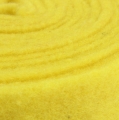 Floristik24 Ruban feutre jaune ruban déco feutre 7,5cm 5m
