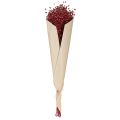 Lin en Rouge Bordeaux Séché Déco Fleur 55cm 80g | Floristik24.fr
