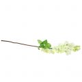 Floristik24 Branche de lilas blanche 84 cm
