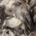 Laine de mouton décorative naturelle, gris chiné, 250 g | Floristik24.fr