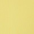 Floristik24 Papier crêpe fleuriste jaune pastel 50x250cm