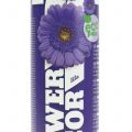 Floristik24 Décor Floral Violet 400ml spray