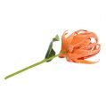 Floristik24 Fleur en mousse orange 12 cm L. 30 cm 1 p.
