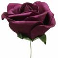 Floristik24 Mousse Rose Violet Ø15cm 4pcs
