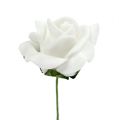 Rose en mousse Ø 3,5cm blanche 48 pcs | Floristik24.fr