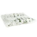Rose en mousse Ø 3,5cm blanche 48 pcs | Floristik24.fr