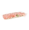 Floristik24 Rose en mousse Ø 6cm rose saumon 27p