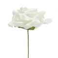 Floristik24 Rose en mousse blanche Ø15cm 4pcs