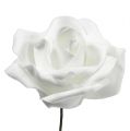 Floristik24 Rose en mousse blanche Ø10cm 8pcs