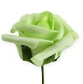 Floristik24 Rose en mousse Ø 8cm vert 18p