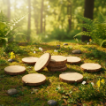 Mini-décorations en rondelles de bois avec écorce, 8-9 cm, lot de 9. | Floristik24.fr
