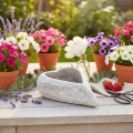 Coupe décorative cœur en pierre grise 19cm | Floristik24.fr