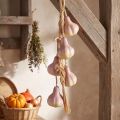 Décoration de Tresses d'Ail Artificiel Suspendue Jaune et Violet – L 50 cm | Floristik24.fr