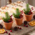 Mini-pots en terre cuite Ø3,5cm H3cm par 10 | Floristik24.fr