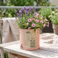 Pot décoratif en métal saumon effet vintage Ø11cm H10,5cm | Floristik24.fr