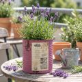 Cache-pot vintage en métal rose effet rouille, Ø11 cm, H10,5 cm | Floristik24.fr