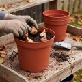 Lot de 10 pots de plantation en plastique Ø29 cm | Floristik24.fr