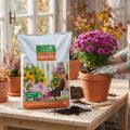 Terreau Villa Flora 10L pour Plantes d'Intérieur et de Balcon | Floristik24.fr