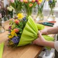 Rouleau de papier crépon vert printemps 50x250 cm pour décoration créative | Floristik24.fr