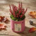 Petit pot décoratif en métal violet effet vintage Ø8 cm H7,5 cm | Floristik24.fr