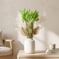 Samtgras séché vert clair 20-50 cm 25 g pour décoration intérieure | Floristik24.fr