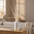 Mitsumata branches décoratives blanches 34-60 cm - Lot de 12 | Floristik24.fr