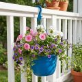 Suspension pour Plantes 25 cm en Plastique Bleu | Floristik24.fr