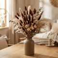 Herbe séchée Lagurus brun naturel 35-50 cm 25 g | Floristik24.fr