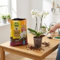 Terreau spécial orchidées FRUX - 5 L | Floristik24.fr