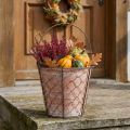 Pot de fleurs en céramique avec panier métallique et anse - Ø18cm, brun | Floristik24.fr