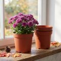 Pots à plantes en plastique 17 cm – Lot de 10 | Floristik24.fr