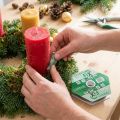 Masse adhésive verte OASIS® Fix – 5m | Floristik24.fr