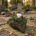 Jardinière Coeur Mousse de Vigne 21cm x 26cm H6cm | Floristik24.fr