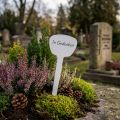 Lot de 10 étiquettes de jardin à planter en plastique blanc 16 cm | Floristik24.fr
