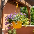 Porte-plantes suspendu en plastique jaune 25 cm | Floristik24.fr