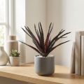 Aloe Vera artificielle violette 26 cm | Floristik24.fr