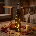 Bouteille lumineuse LED blanc chaud 73cm 15L | Floristik24.fr