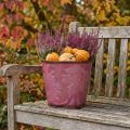 Pot en métal rouge bordeaux avec motif feuilles d'érable Ø18cm H17cm | Floristik24.fr