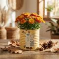 Petite boîte en métal décorative effet rouillé - Ø8cm x H7,5cm - Abricot | Floristik24.fr