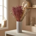Tiges de Lin Séché Rose Ancien H50-55cm 80g | Floristik24.fr