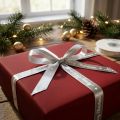 Ruban de Noël Ruban Joyeux Noël Argent Blanc 10mm 20m | Floristik24.fr